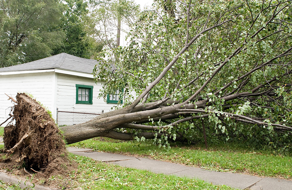 Storm Damage Roof Repair Saint Charles MO - Edwards Roofing - windDamage