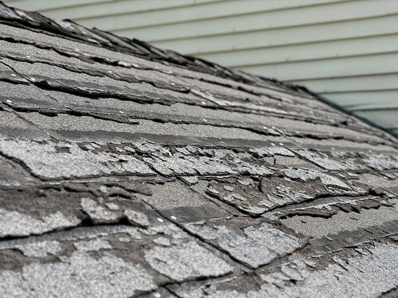 Close-up of weathered, peeling asphalt roof shingles with granular loss and damaged edges, vinyl siding in background.
